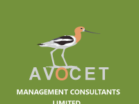 Avocet Consultants Ltd